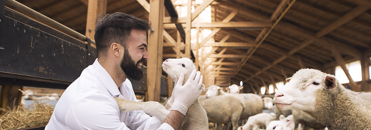 Garcisan, nutrición animal